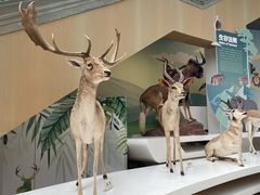 -陕西自然博物馆