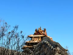 -故宫博物院(故宫)