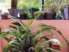 -梵几(东信·和创园店)