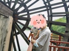 -重庆彩云湖湿地公园