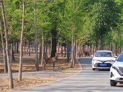 -秦皇岛野生动物园