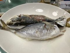 -双生不夜粥