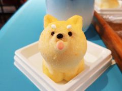 -柴犬高等学院·狗咖·柴犬售卖·宠物训练