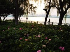 -金银湖国家城市湿地公园