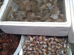 -青石桥市场北1-27号