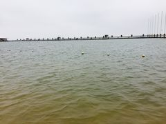 -碧海金沙