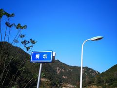 -小芝红树林