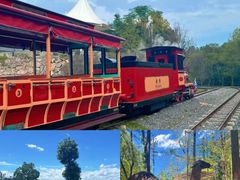 -阿露佳·舌尖上的安吉菜