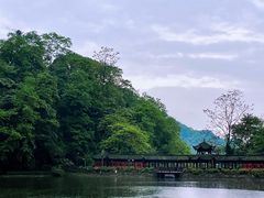 -青城山