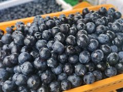 -南坛综合农贸市场