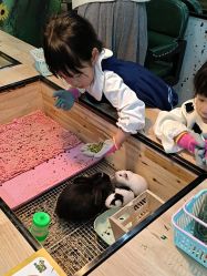 -神奇动物撸宠馆·羊驼·小浣熊·异宠(豫园店)