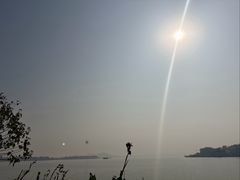 -东湖落雁景区