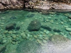 -石台牯牛降景区
