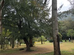 -北海市海滨公园