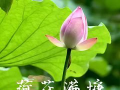 -烈士陵园(地铁站)