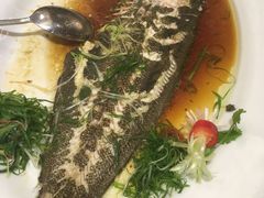 -山泉公馆酒家(珠江新城店)