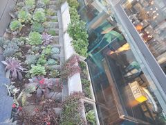-野菌皇海景野生菌火锅(滨海大道店)