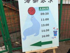 -苏州太湖西山岛开心农场