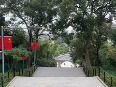 -上海佘山国家森林公园西佘山园