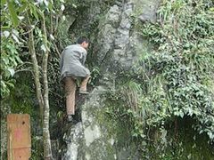 -祁门牯牛降观音堂风景区
