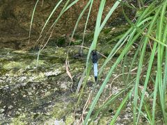 -雁荡山大龙湫景区