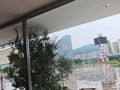 -喜茶(珠海华发商都店)