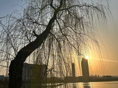 -金银湖国家城市湿地公园