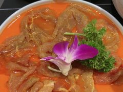 -蜀九香火锅(彩虹店)