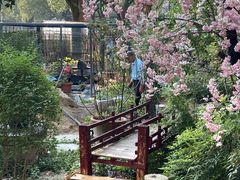 -谷咖啡·鲜花绿植花园餐厅