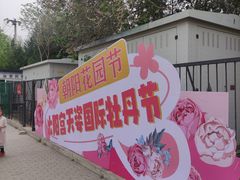 -太阳宫公园