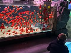 -常州海昌海洋探索馆