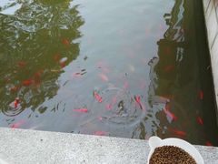-龚家花园农家乐休闲别墅