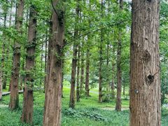 -国家植物园南园