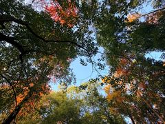 -东湖落雁景区