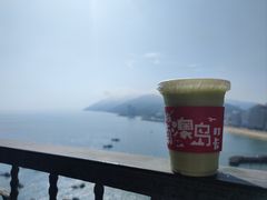 -南澳岛打卡果汁冰公司
