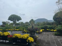 -和顺古镇