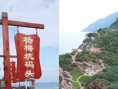 -杨梅坑