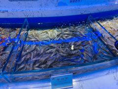 -澜悦港海鲜体验主题餐厅