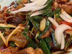 香辣牛蹄筋-柴窝堡22号辣子鸡·传承新疆菜