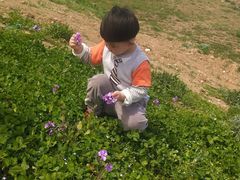 -洨河生态公园