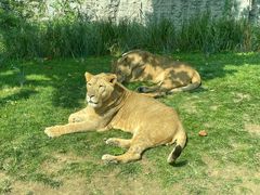 -北京野生动物园