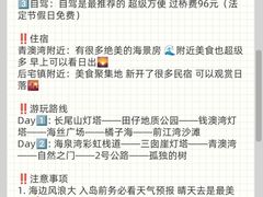 -南澳岛打卡果汁冰公司