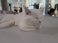-吾悦广场(南京鼓楼店)