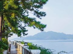 -四明湖