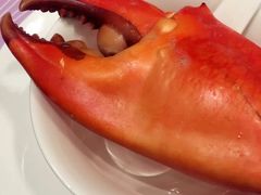 -协成海鲜火锅(海洋花园店)