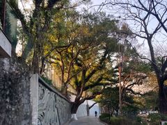 -桂林灵渠景区