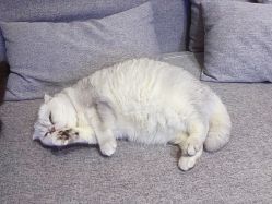 -青木造型HAIR·あおき髪を刈る潮人店