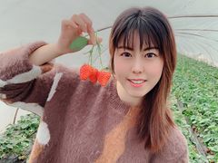 -小鱼草莓采摘园农家乐·小鱼餐厅