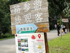 -田野绿世界