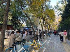 -三里屯东五街银杏大道